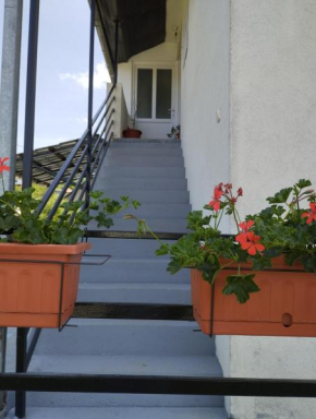 Banja Vrujci Apartmani Nikolic